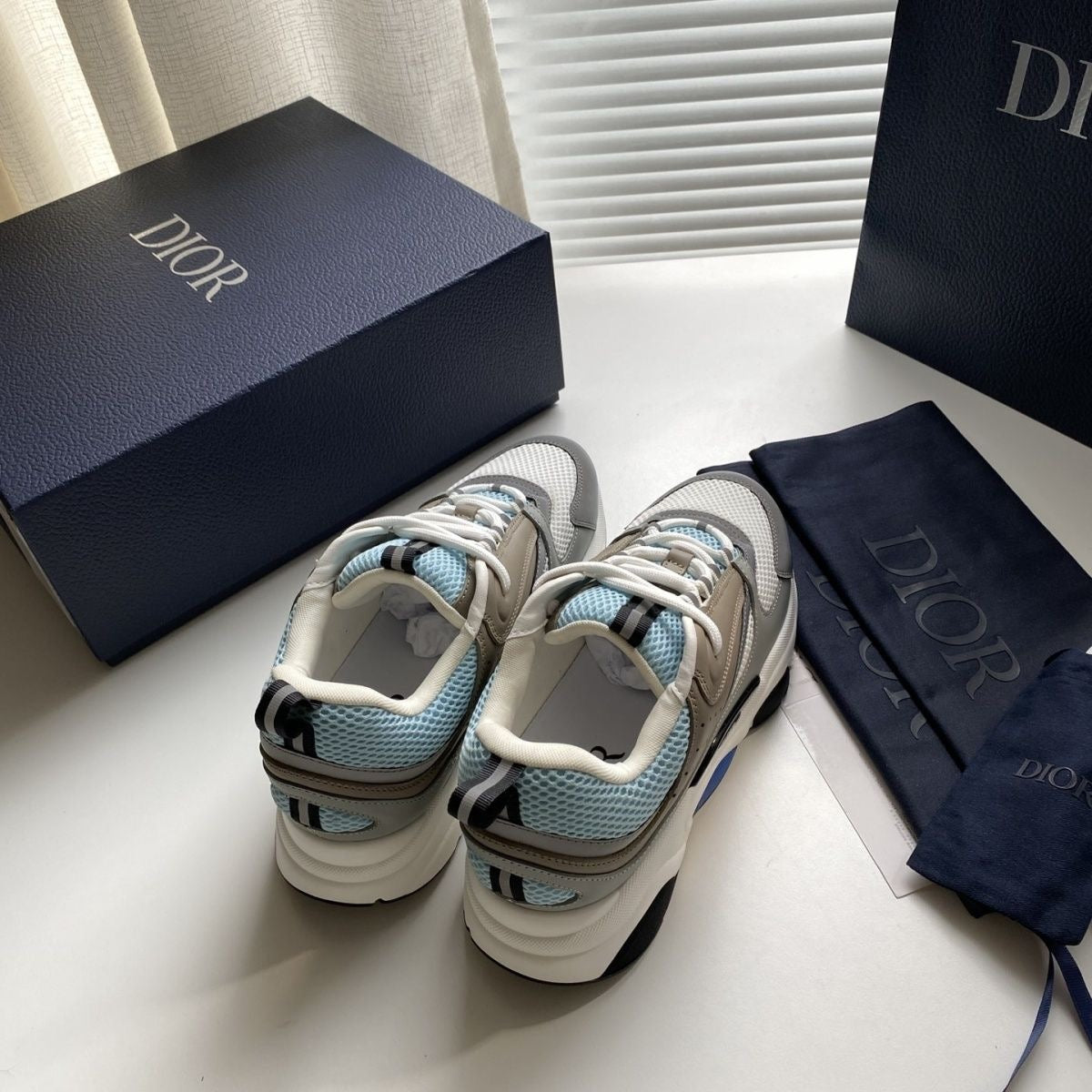 Dior B22